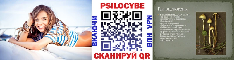 Псилоцибиновые грибы GOLDEN TEACHER  магазин  наркотиков  Инза 
